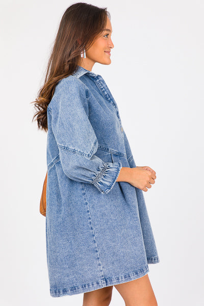 Ruffle Sleeve Denim Shirt Dress
