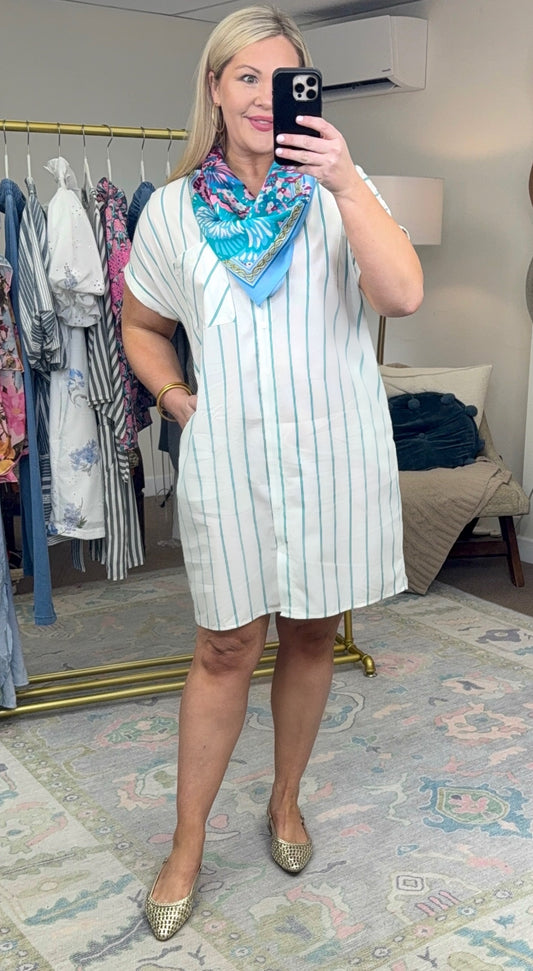 Just Comes Natural Stripe Shirt Dress