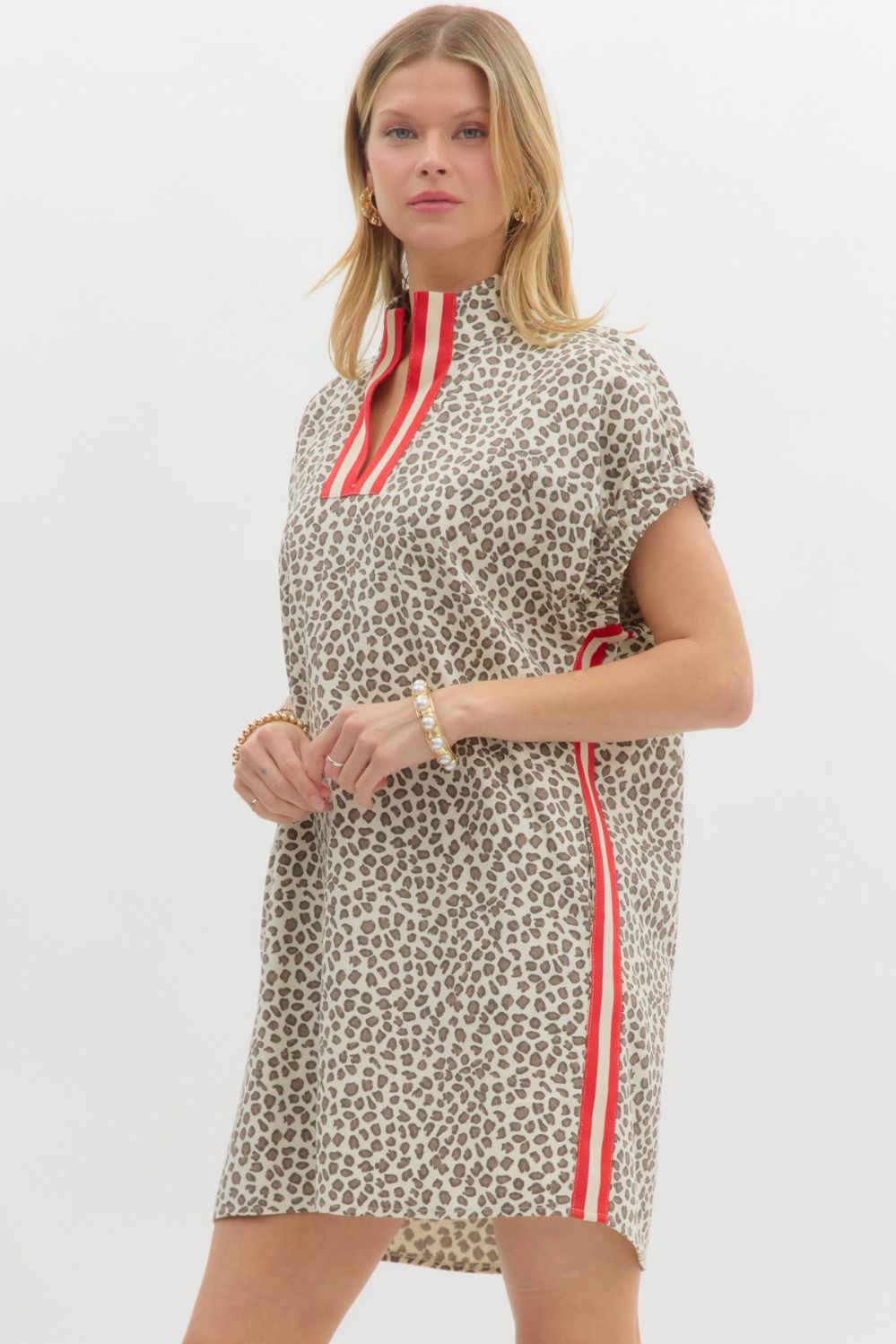 Wild Styled Animal Print Dress