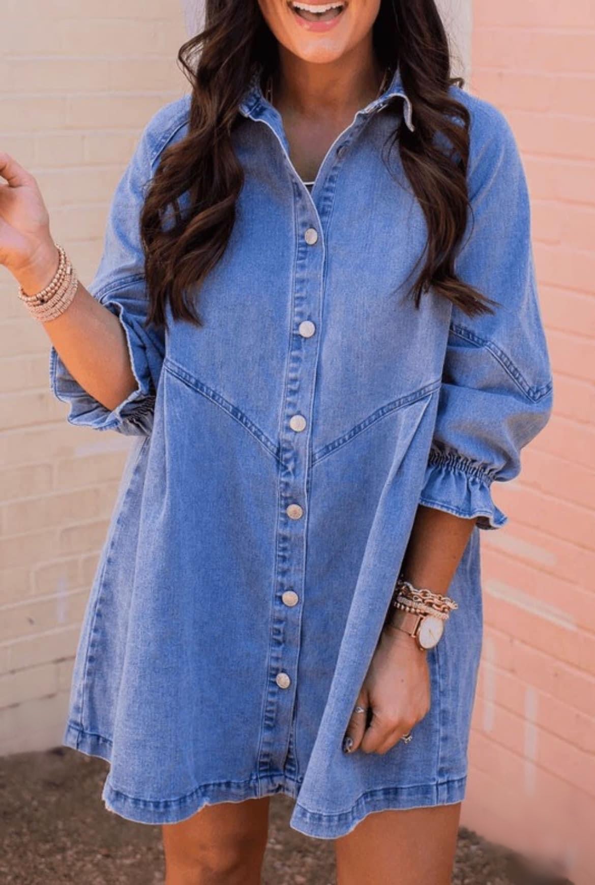 Ruffle Sleeve Denim Shirt Dress