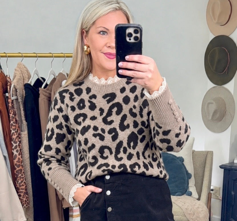 Cat Call Animal Print Contrast Trim Knit Top
