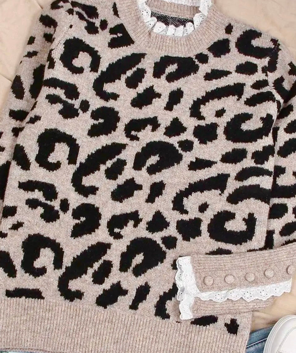 Cat Call Animal Print Contrast Trim Knit Top