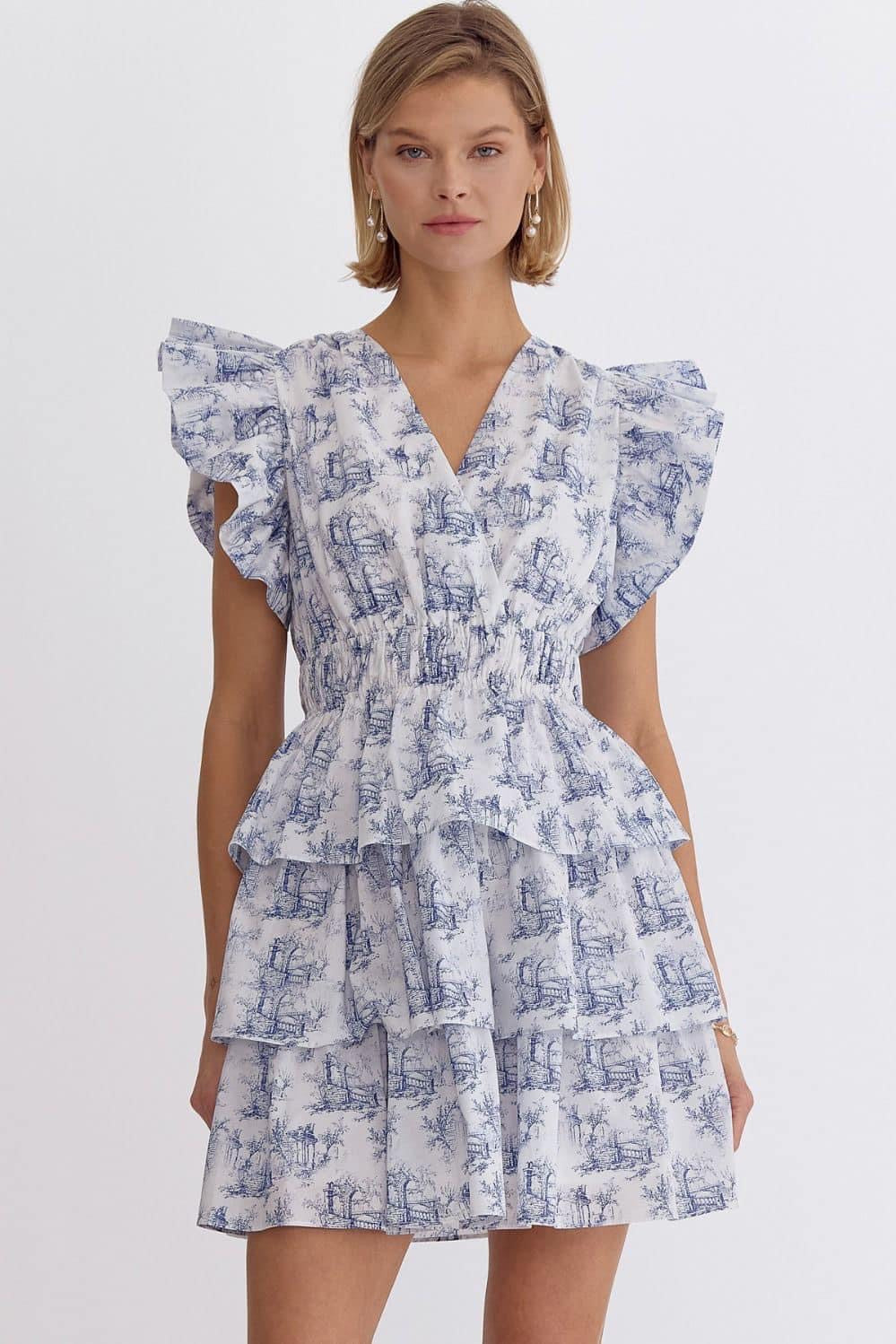 Toile Ruffle Flounce Mini Dress