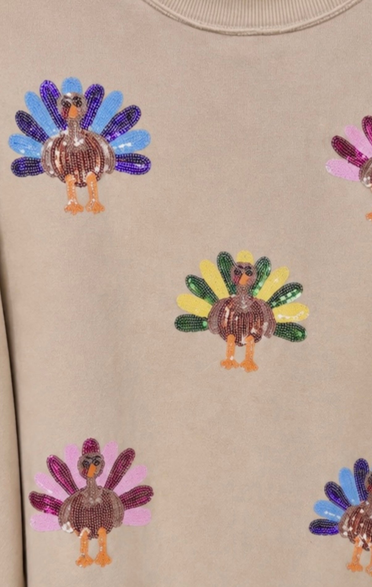 Feast Mode Sequin Turkey Pullover Top