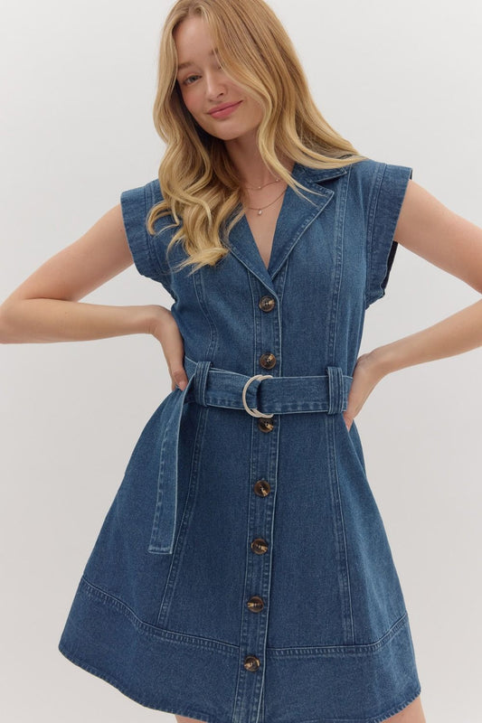 Dream in Denim Belted Shirt Dress